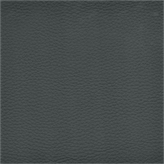 Delta Vinyl Upholstery Fabric
